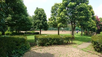 柴崎公園の画像1