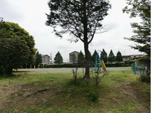 笹井向田公園