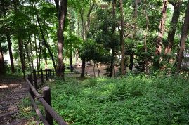 南本宿市民の森の画像1