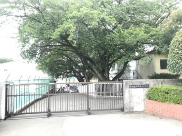 藤沢市立湘南台中学校の画像1