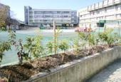 川崎市立東生田小学校の画像1