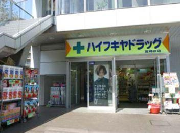 ハイフキヤドラッグ宮崎台駅前店の画像1