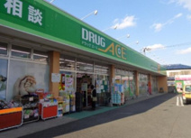ドラッグエース岸町南店