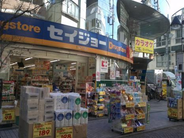 くすりセイジョー新丸子店の画像1