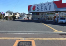 ドラッグストア・セキ 武州長瀬店