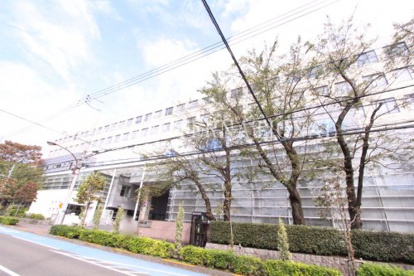 法政大学小金井キャンパス情報ページ ハナインターナショナル川崎駅前店