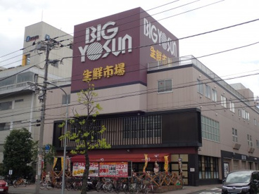 ビッグヨーサン 綱島樽町店の画像2
