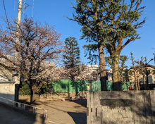野沢児童遊園