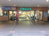 ピーコックストア 文京グリーンコート店