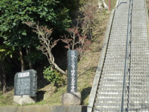 茨城県立竜ケ崎第二高等学校