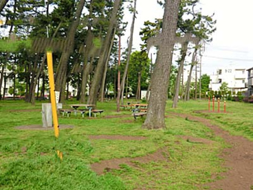 宮沢町第四公園の画像1
