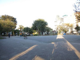 椎名町公園