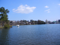 公園 洗足池