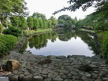 上沼公園の画像1