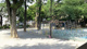 栄町公園の画像