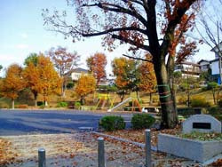いぶき野第四公園の画像1