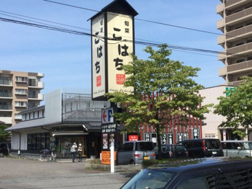 こはちの画像1
