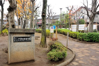 高野台中央公園の画像3