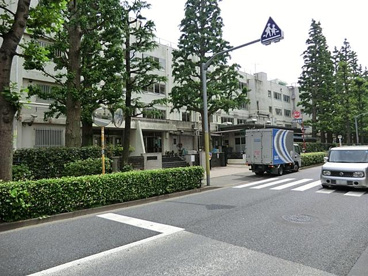 練馬区立石神井中学校の画像2