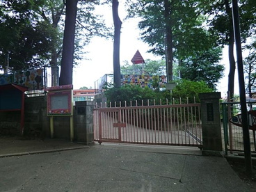 くまの幼稚園の画像1