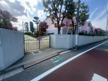 桃井幼稚園