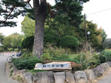 柏の宮公園