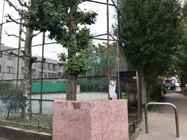 浜田山公園の画像3
