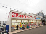 スギドラッグ波除店