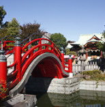 亀戸天神社の画像1