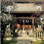 繁栄稲荷神社の画像1