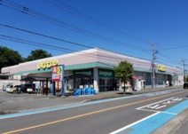 いなげや 入間春日町店