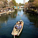 横十間川親水公園の画像