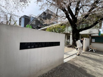 豊島なでしこ幼稚園