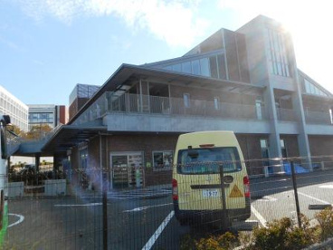 関東学院六浦こども園の画像3