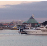 東京夢の島マリーナ の画像1