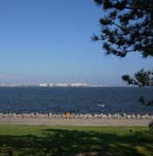 若洲海浜公園の画像1