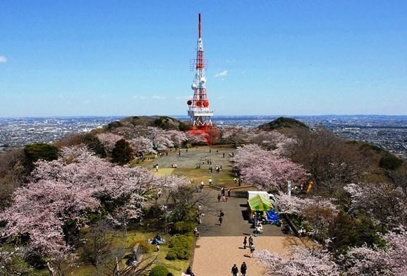 高麗山公園の画像1