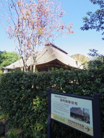 池淵史跡公園の画像2