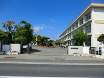 平塚市立金田小学校