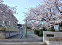 茅ヶ崎市立赤羽根中学校