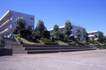 秦野市立渋沢小学校