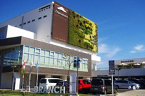 その他 ハマミーナ