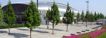 馬入ふれあい公園の画像1