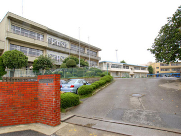 柏市立 土小学校の画像1