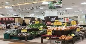 わくわく広場 アリオ北砂店
株式会社メイワ・エステート
東京都台東区東上野5-5-9
03-5830-3434 わくわく広場 アリオ北砂店の画像2