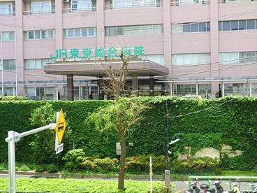 医療法人財団健貢会 総合東京病院の画像2