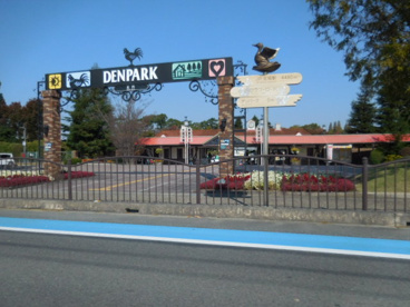 デンパーク館の画像1