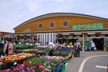 湘南農協 あさつゆ広場