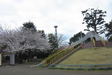 大久保公園の画像1