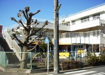 柳町保育園の画像1